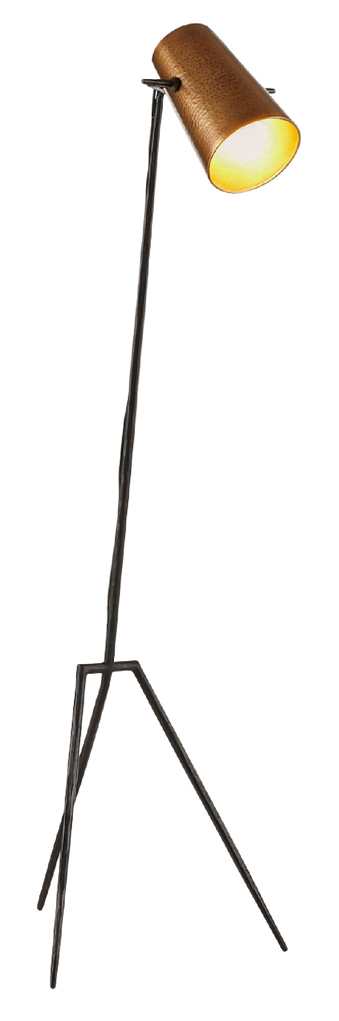 Arteriors-Draper Floor Lamp-Blackened Iron