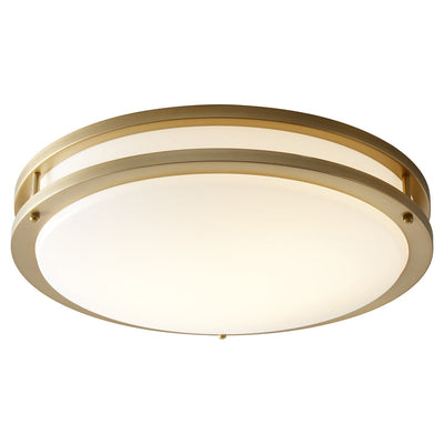 Oracle 18 Inch Wall / Ceiling Light