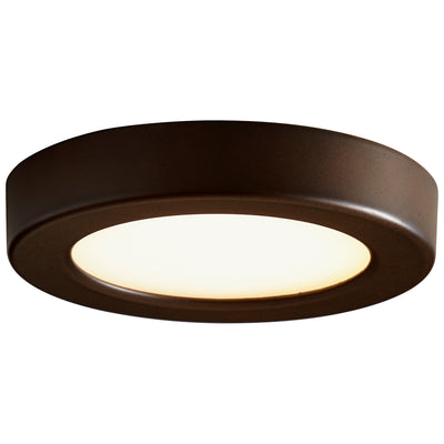 Elite Ceiling/Wall Light