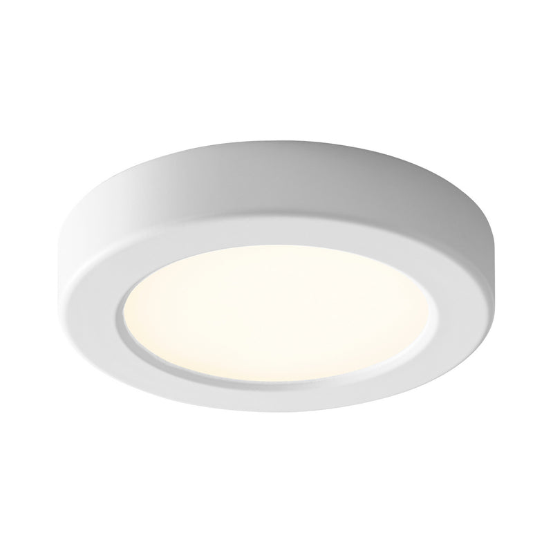 Elite Ceiling/Wall Light