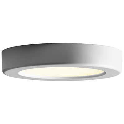 Elite Ceiling/Wall Light