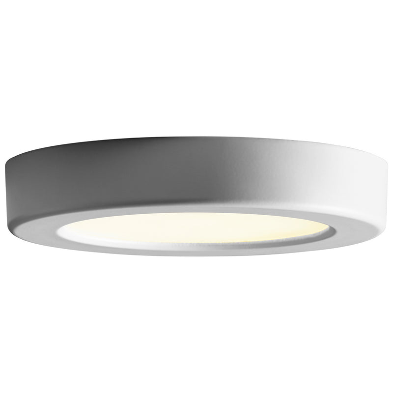 Elite Ceiling/Wall Light