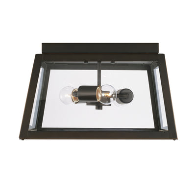 Leighton Outdoor Ceiling Light