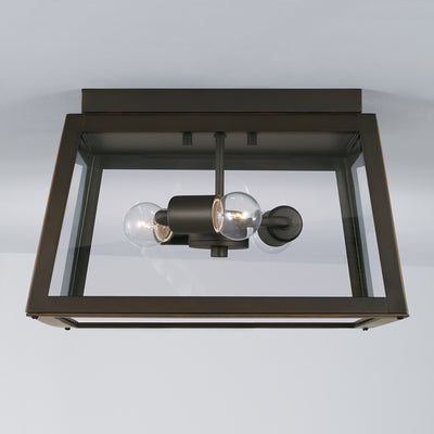 Leighton Outdoor Ceiling Light