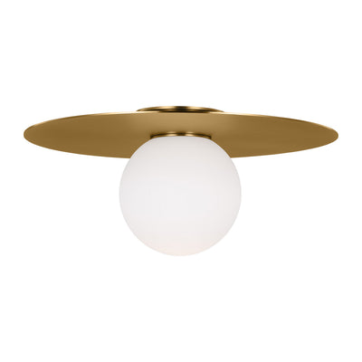 Nodes Ceiling Light