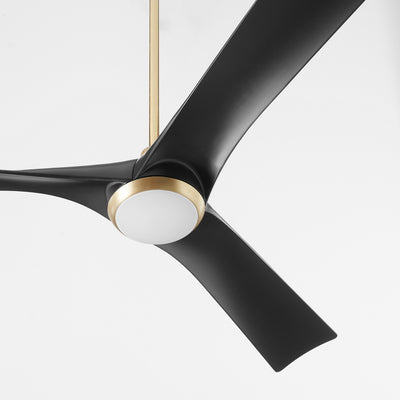 Ridley Ceiling Fan