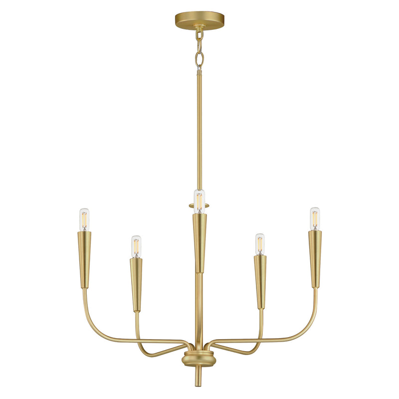 Maxim - 24815SBR - Five Light Chandelier - Vela - Satin Brass