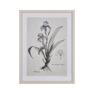 ELK Home - S0056-10633 - Framed Wall Art - Iris Botanic - Cream