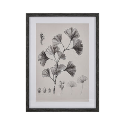 ELK Home - S0056-10637 - Framed Wall Art - Ginkgo Botanic - Ivory