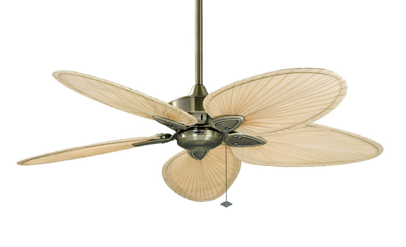 Fanimation - FP7500AB - 52``Ceiling Fan - Windpointe - Antique Brass