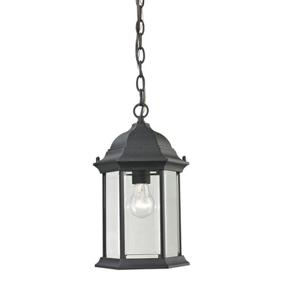 ELK Home - 8601EH/65 - One Light Outdoor Pendant - Spring Lake - Matte Textured Black