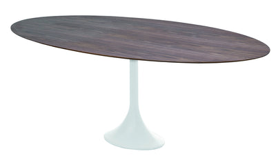 Nuevo - HGEM114 - Dining Table - Echo - Walnut