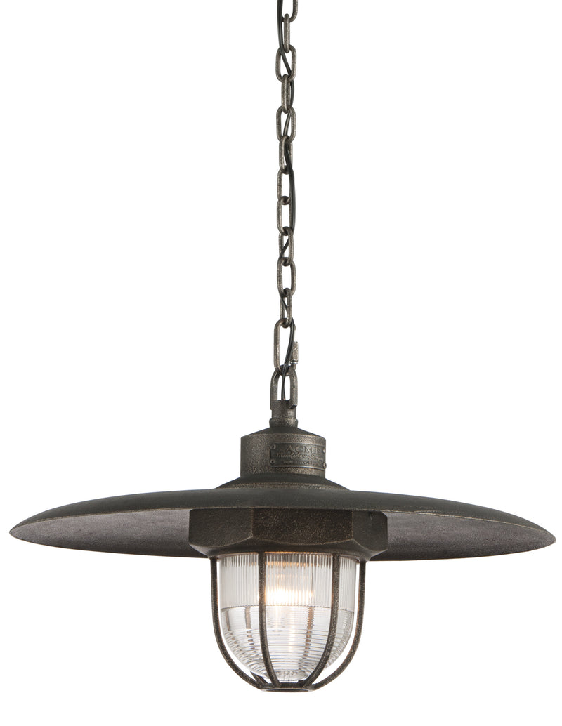 Troy Lighting - F3897-APW - One Light Pendant - Acme - Aged Silver